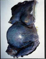 ©2022 Robert Oblon Sr. All rights reserved.